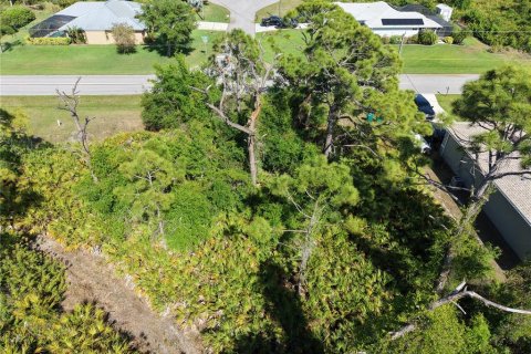 Land in Rotonda, Florida № 2163672 - photo 6