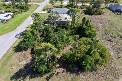 Land in Rotonda, Florida № 2163672 - photo 9