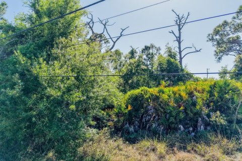 Land in Rotonda, Florida № 2163672 - photo 14