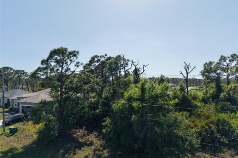 Land in Rotonda, Florida № 2163672 - photo 5