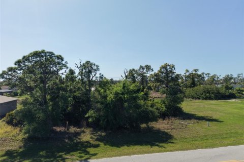 Land in Rotonda, Florida № 2163672 - photo 4