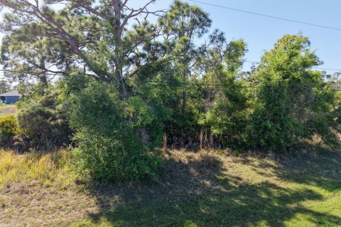 Land in Rotonda, Florida № 2163672 - photo 11