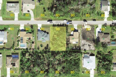 Land in Port Charlotte, Florida № 2164949