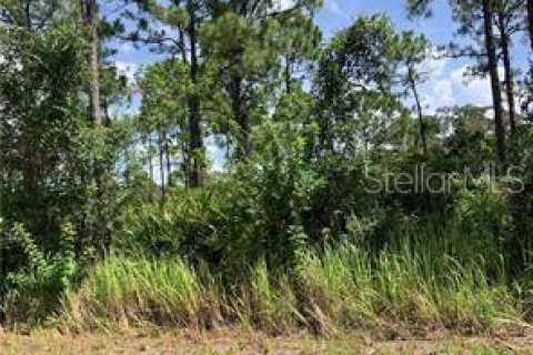 Land in Lake Placid, Florida № 2223856