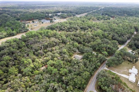 Land in Crystal River, Florida № 2119502 - photo 18