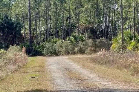 Terrain à vendre à Cedar Key, Floride № 2233572 - photo 6