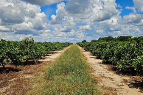 Terreno en venta en Lake Wales, Florida № 1893805 - foto 2