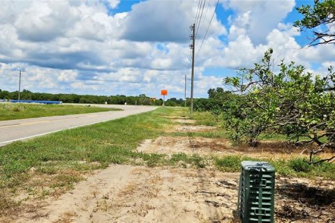 Terreno en venta en Lake Wales, Florida № 1893805 - foto 8