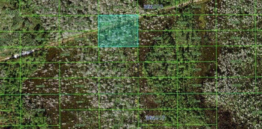 Terrain à Polk City, Floride № 2161531