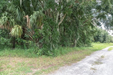 Terreno en venta en Dover, Florida № 1898864 - foto 8