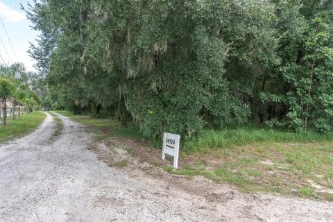Terreno en venta en Dover, Florida № 1898864 - foto 7