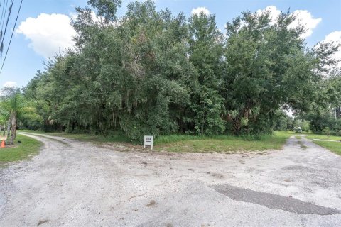 Terreno en venta en Dover, Florida № 1898864 - foto 9