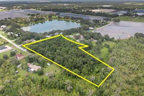 Terreno en venta en Dover, Florida № 1898864 - foto 3