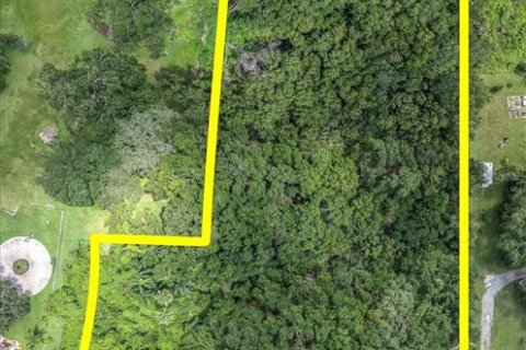 Terreno en venta en Dover, Florida № 1898864 - foto 6
