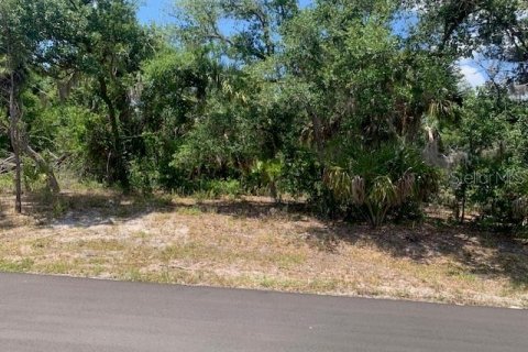 Land in Port Charlotte, Florida № 2158837
