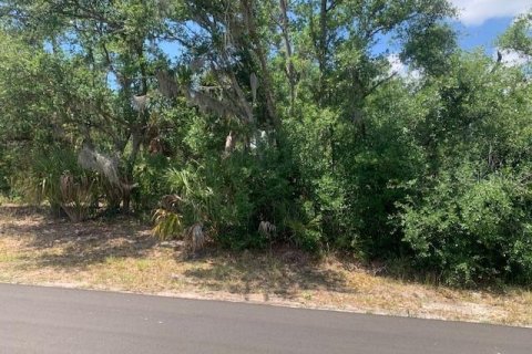 Land in Port Charlotte, Florida № 2158837 - photo 2