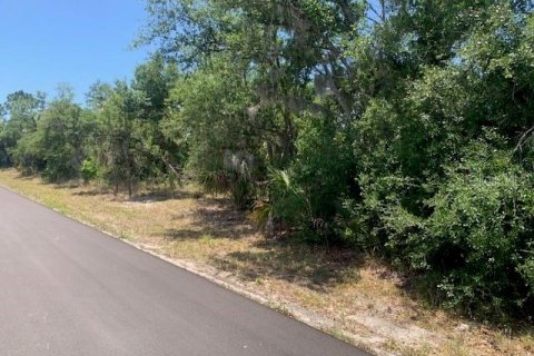 Land in Port Charlotte, Florida № 2158837 - photo 3