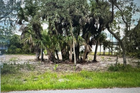 Land in Port Charlotte, Florida № 2162459