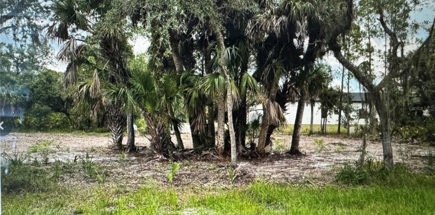 Land in Port Charlotte, Florida № 2162459