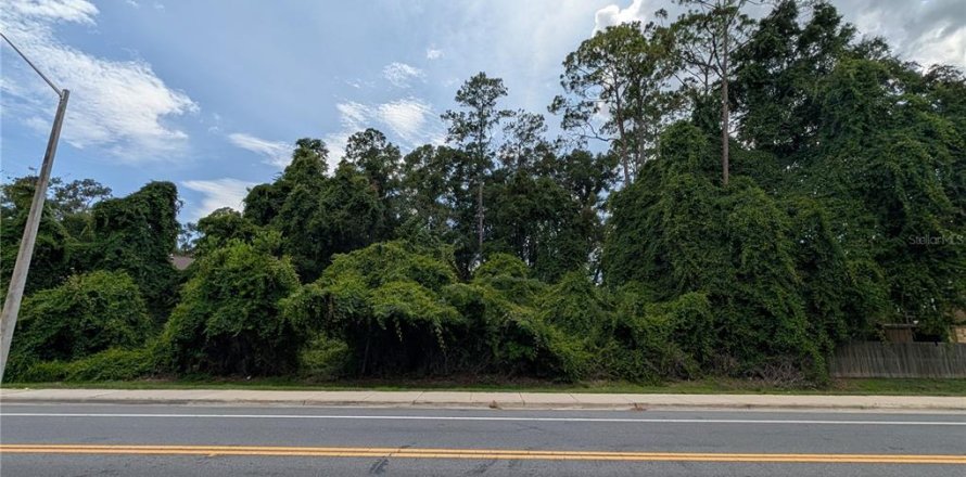 Terrain à Gainesville, Floride № 2217164