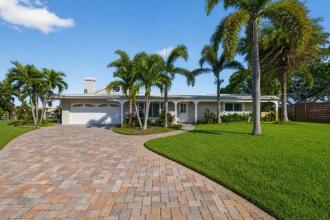 Land in Saint Petersburg, Florida № 2105337 - photo 4