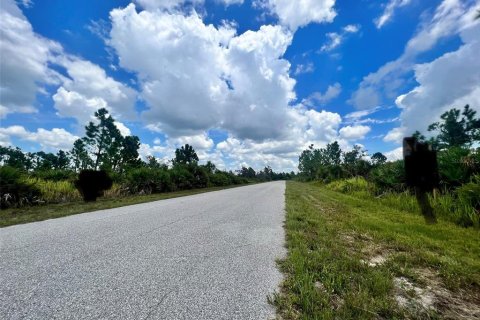 Land in Port Charlotte, Florida № 2160061 - photo 2