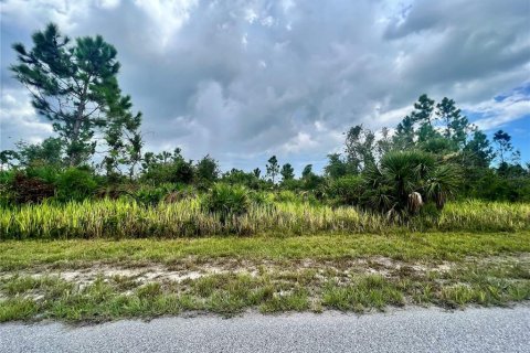Land in Port Charlotte, Florida № 2160061