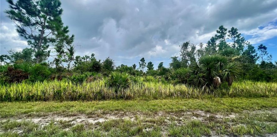 Land in Port Charlotte, Florida № 2160061