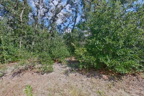 House in Citrus Springs, Florida 4 bedrooms, 134.62 sq.m. № 2207100 - photo 16