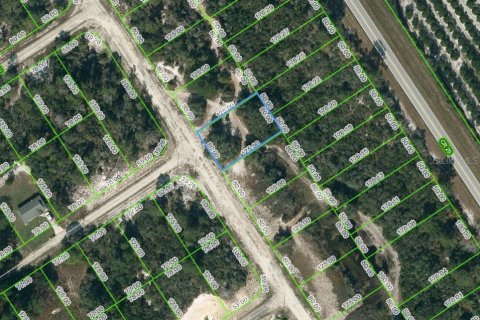 Land in Lake Placid, Florida № 2223967