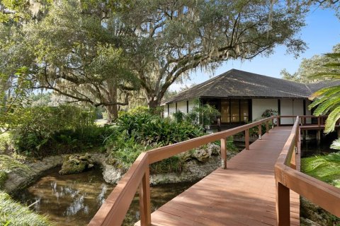 Immobilier commercial à vendre à Crystal River, Floride: 1056.21 m2 № 2389347 - photo 4