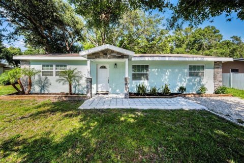 Villa ou maison à vendre à Clearwater, Floride: 3 chambres, 104.79 m2 № 1805400 - photo 1