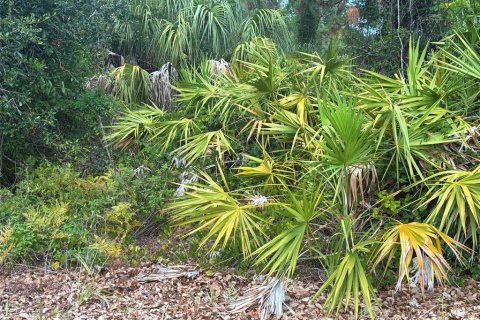 Land in North Port, Florida № 2221633
