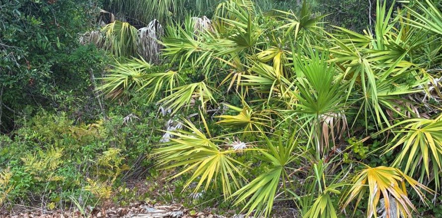 Land in North Port, Florida № 2221633