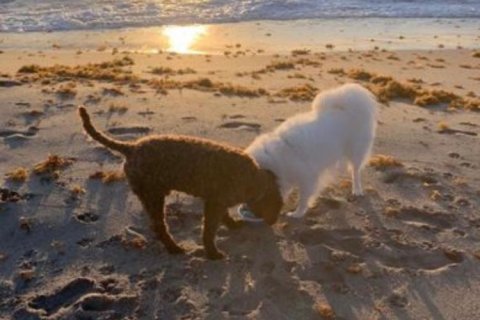 Touwnhouse à louer à Jupiter, Floride: 4 chambres, 176.89 m2 № 1224648 - photo 1