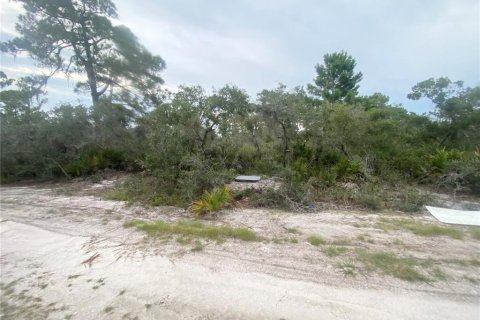Land in Sebring, Florida № 2275726