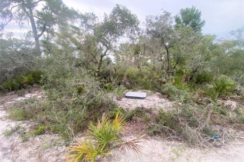 Land in Sebring, Florida № 2275726 - photo 2