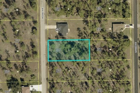 Land in Lehigh Acres, Florida № 2162873