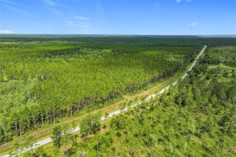 Terreno en venta en Chiefland, Florida № 1789690 - foto 5