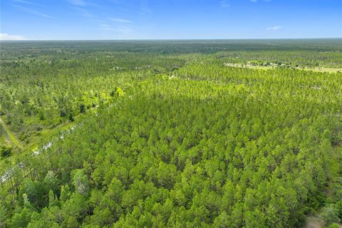 Terreno en venta en Chiefland, Florida № 1789690 - foto 11