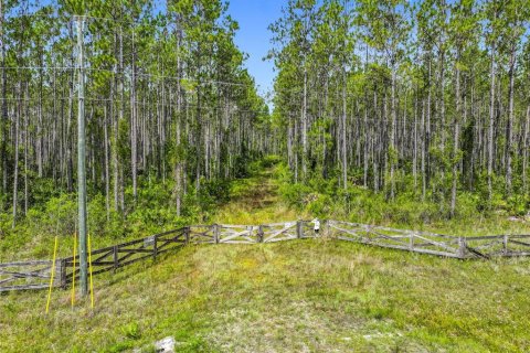 Terreno en venta en Chiefland, Florida № 1789690 - foto 1