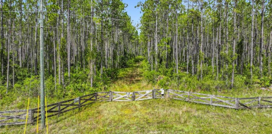 Terreno en Chiefland, Florida № 1789690