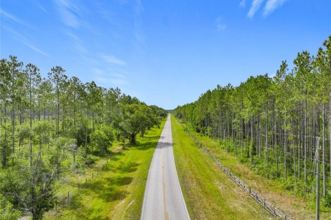Terreno en venta en Chiefland, Florida № 1789690 - foto 4