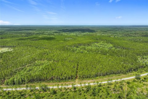 Terreno en venta en Chiefland, Florida № 1789690 - foto 8