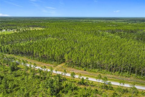 Terreno en venta en Chiefland, Florida № 1789690 - foto 10