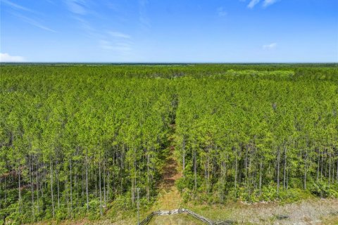 Terreno en venta en Chiefland, Florida № 1789690 - foto 17