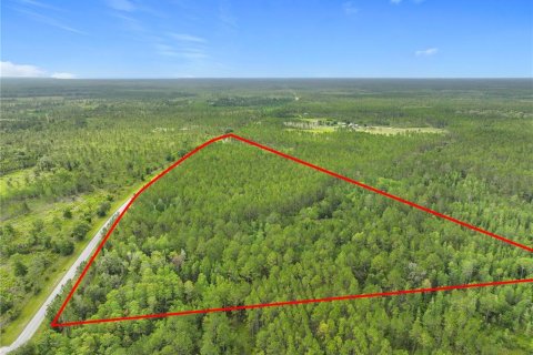 Terreno en venta en Chiefland, Florida № 1789690 - foto 13