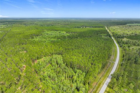 Terreno en venta en Chiefland, Florida № 1789690 - foto 7