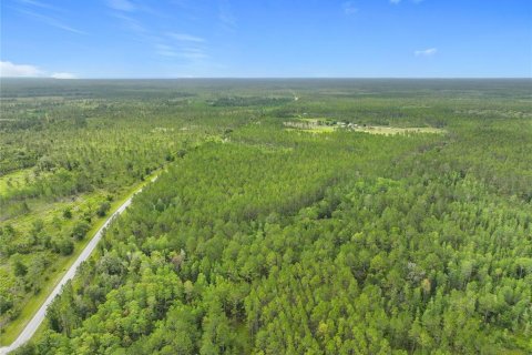 Terreno en venta en Chiefland, Florida № 1789690 - foto 12