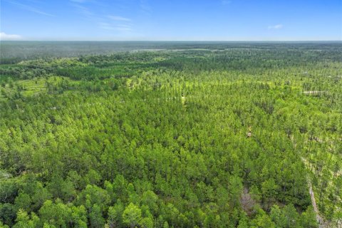 Terreno en venta en Chiefland, Florida № 1789690 - foto 16